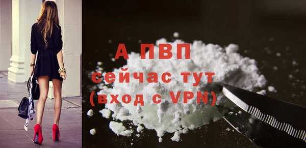 apvp Алексин