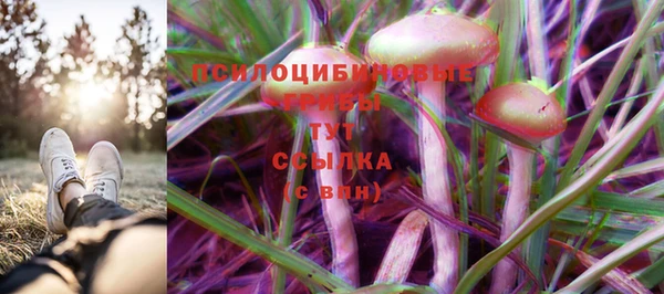 экстази Арсеньев