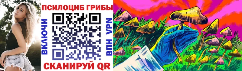 это клад Белгород Псилоцибиновые грибы Psilocybe